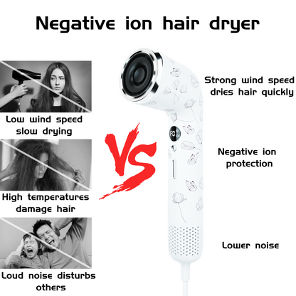 B&W Muse-Negative Ion Hair Dryer